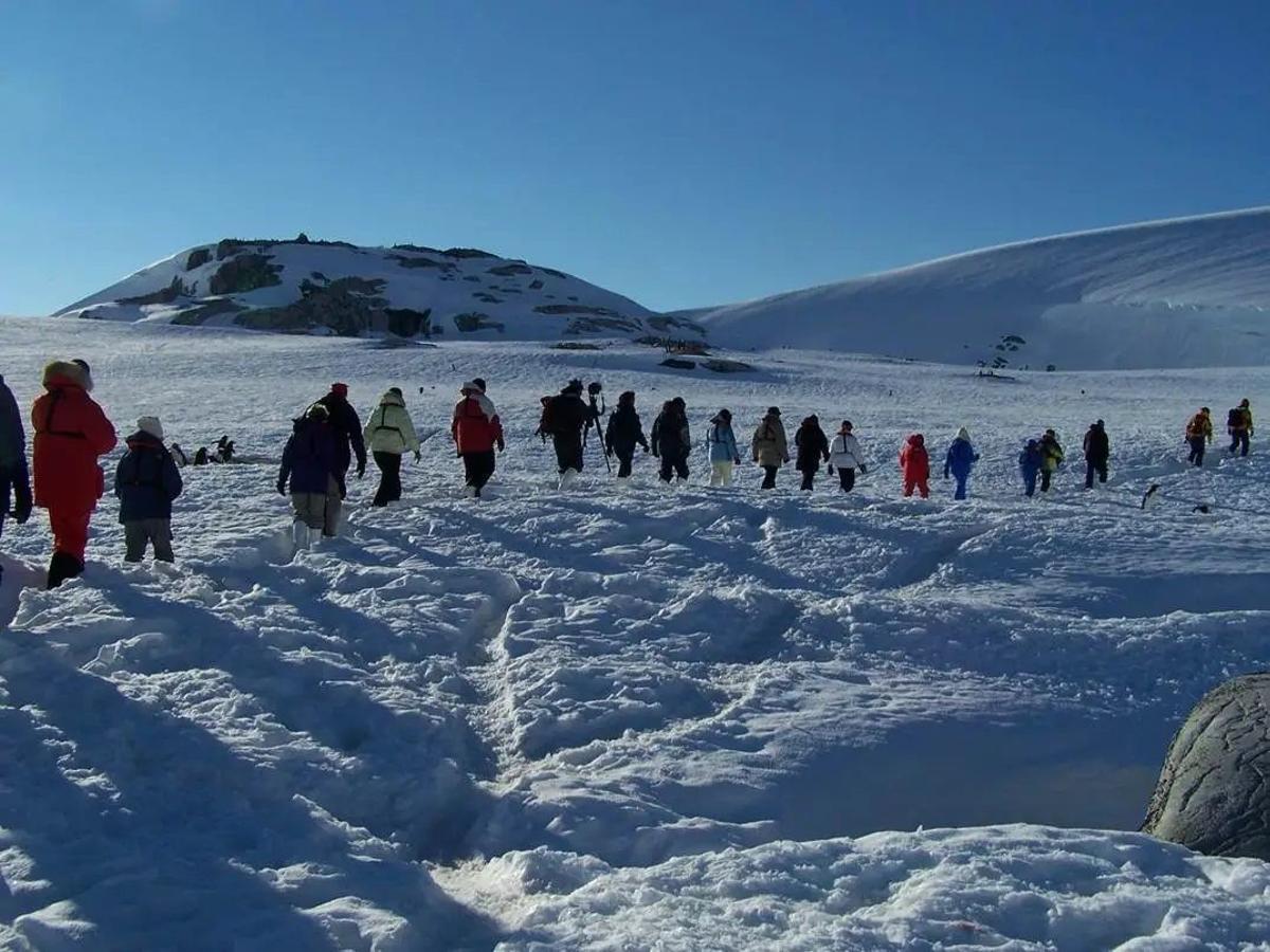 Turistas en la Antártida