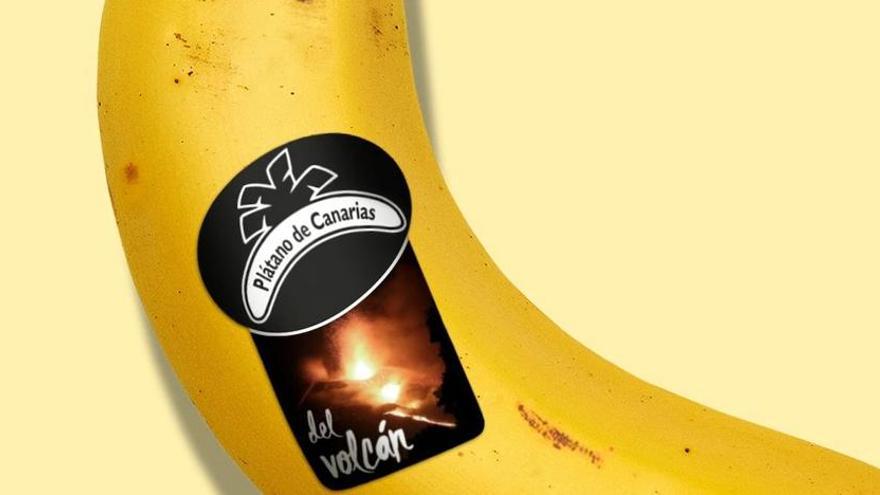 La etiqueta de los plátanos &quot;del volcán&quot; de la Palma