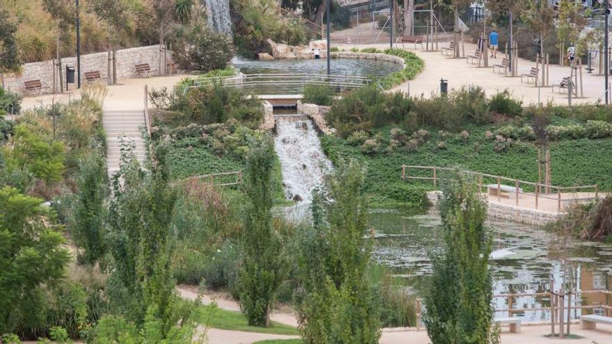 La Marjal de la Playa de San Juan es el primer parque urbano inundable de España