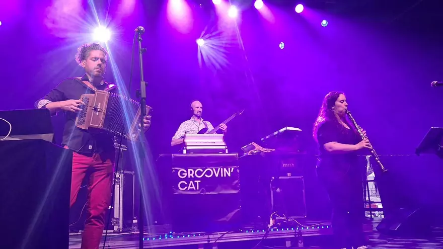 Groovin cat