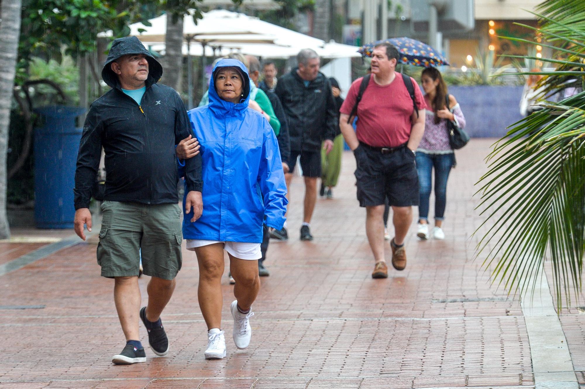 Tiempo en Las Palmas de Gran Canaria (7/12/2022)