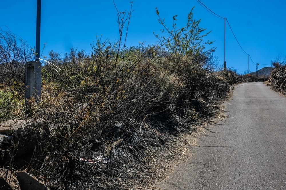 Incendio en Gran Canaria | Zonas afectadas en las medianías de Gáldar y en Artenara