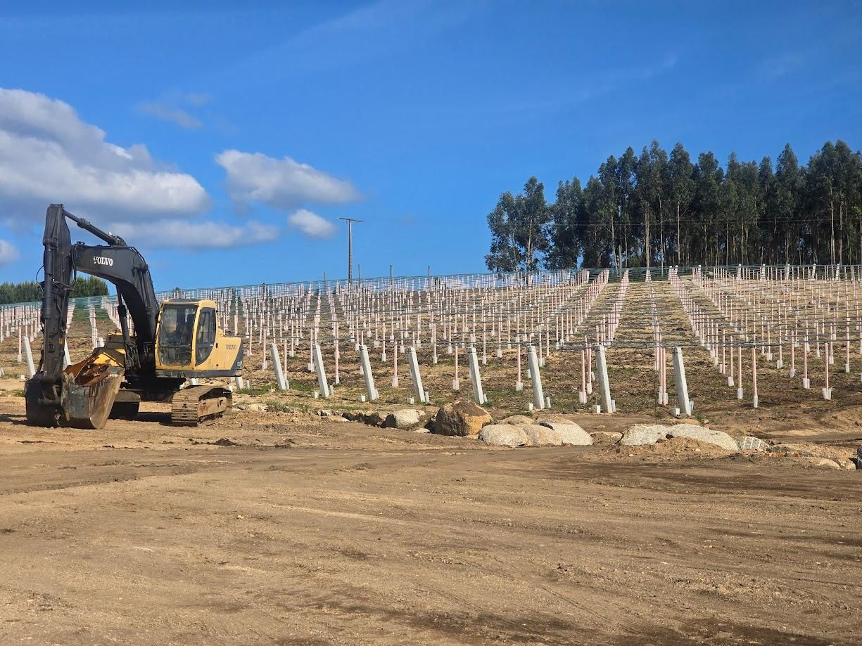 Los nuevos viñedos de Lagar da Condesa en Berdón (Vilagarcía).