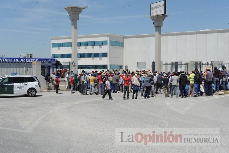 Protesta hortofrutícola en una empresa de El Raal