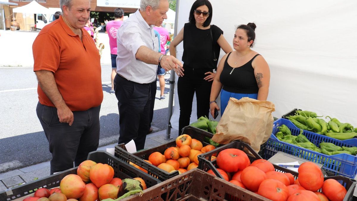 Puesto de hortalizas de la feria.