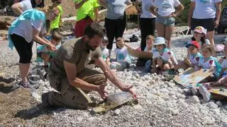 La playa de Cala Salada acoge la liberación de una tortuga marina