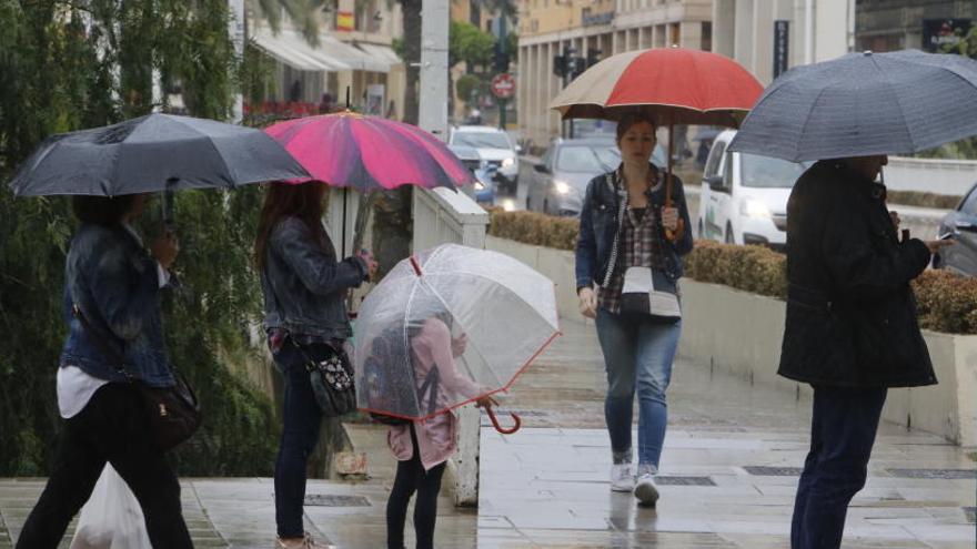 Vecinos de Elche con paraguas esta mañana.