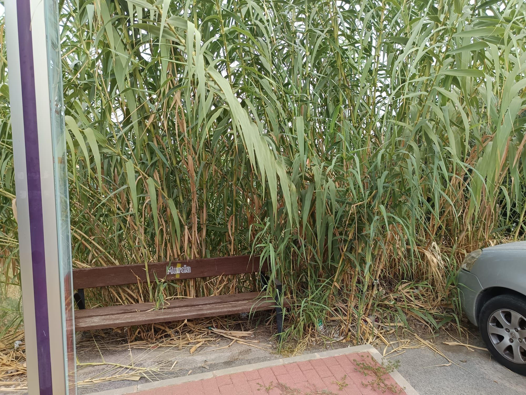 WhatsApp Image 2025-09-30 at 21.34.32 (1).jpeg