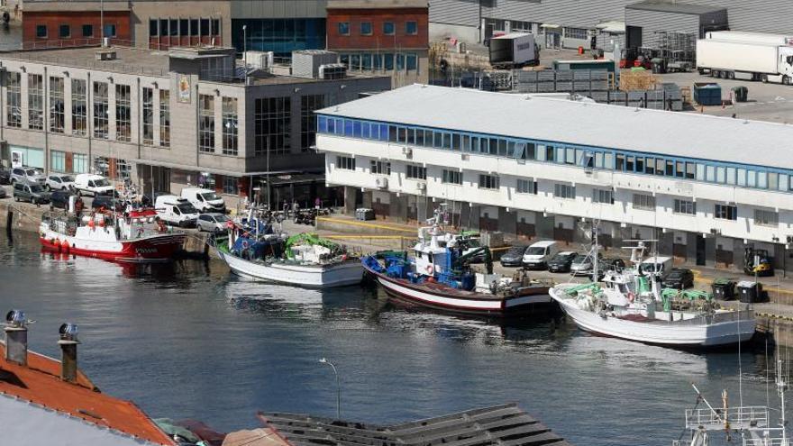 Barcos de cerco amarrados en O Berbés. |  MARTA G. BREA