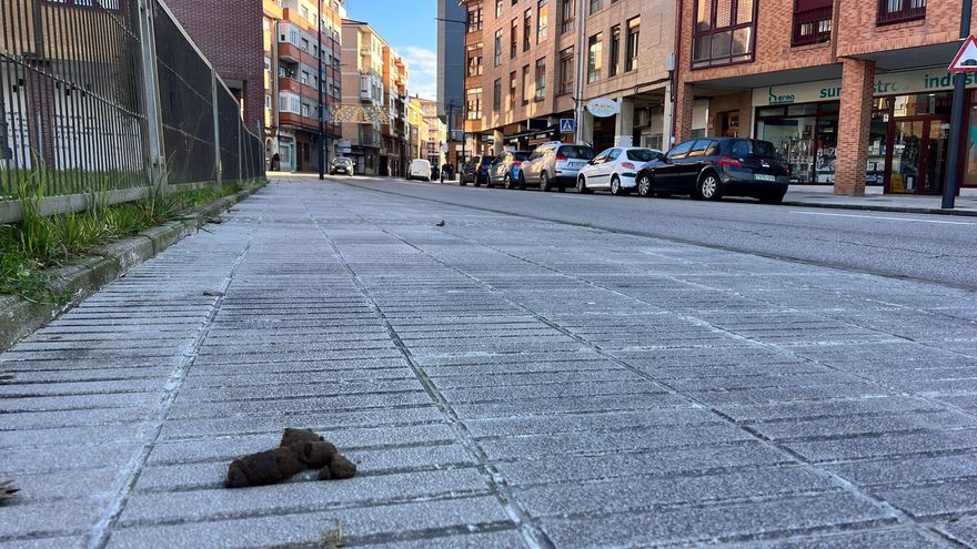 “La calle es de todos”: los vecinos de Lugo de Llanera, hartos de las cacas de perros