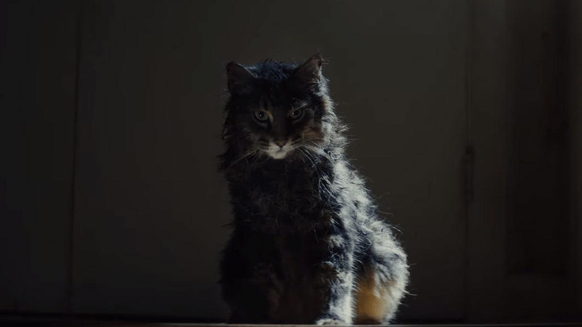 Estrenos de la semana. Tráiler de 'Cementerio de animales' (2019)