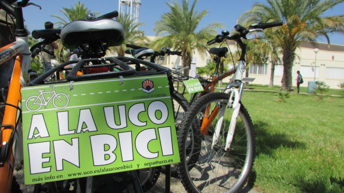 La falta de iluminación y el mal estado de algunos tramos frenan el uso del carril bici a Rabanales.