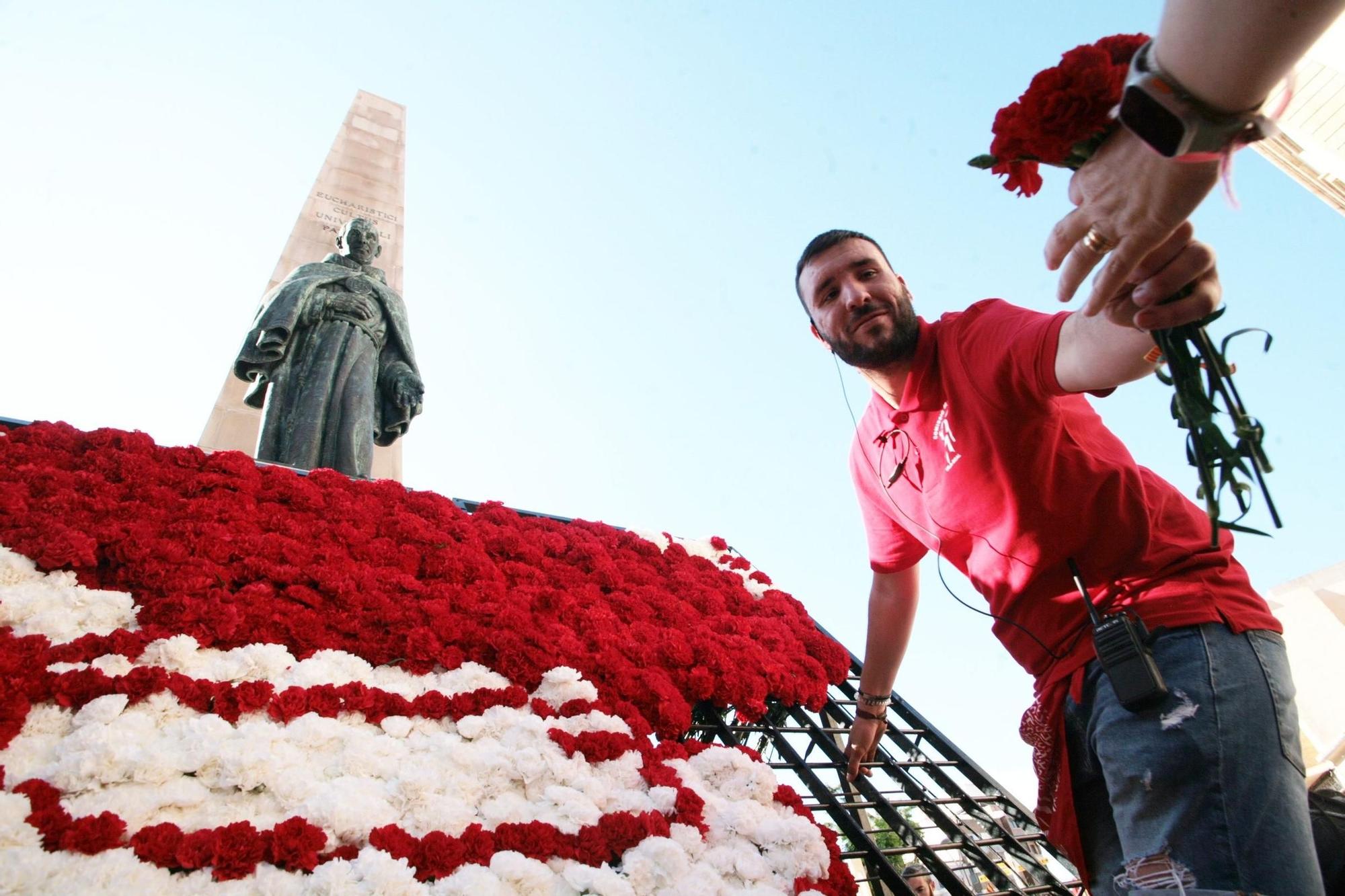 Galeria de fotos de l'ofrena de flors a Sant Pasqual en Vila-real