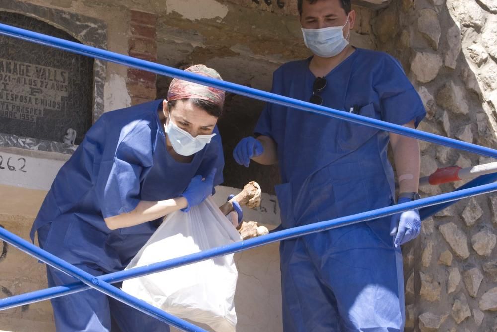 Exhumación fusilados de la guerra civil en el cementerio de Ontinyent