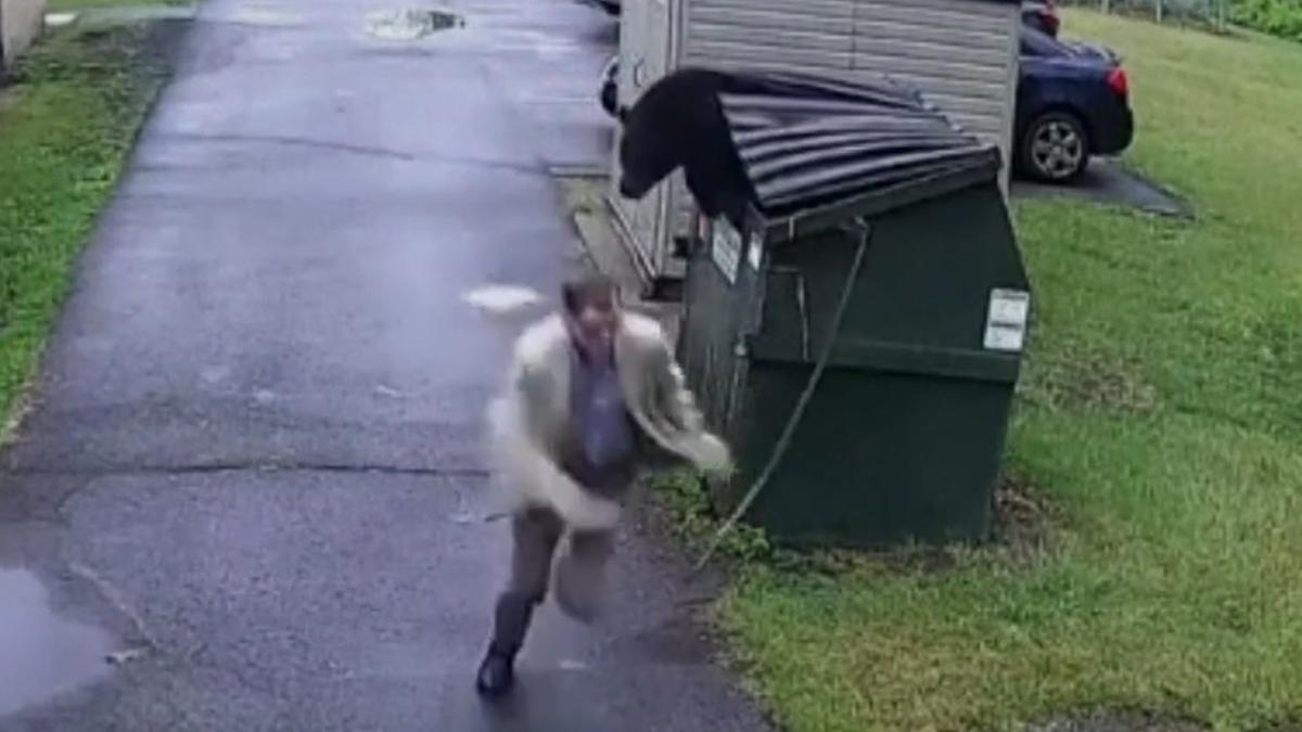 Un hombre se encuentra un oso en el contenedor cuando va a sacar la basura en West Virginia (Estados Unidos)