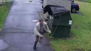 Un hombre se encuentra un oso en el contenedor cuando va a sacar la basura en West Virginia (Estados Unidos).