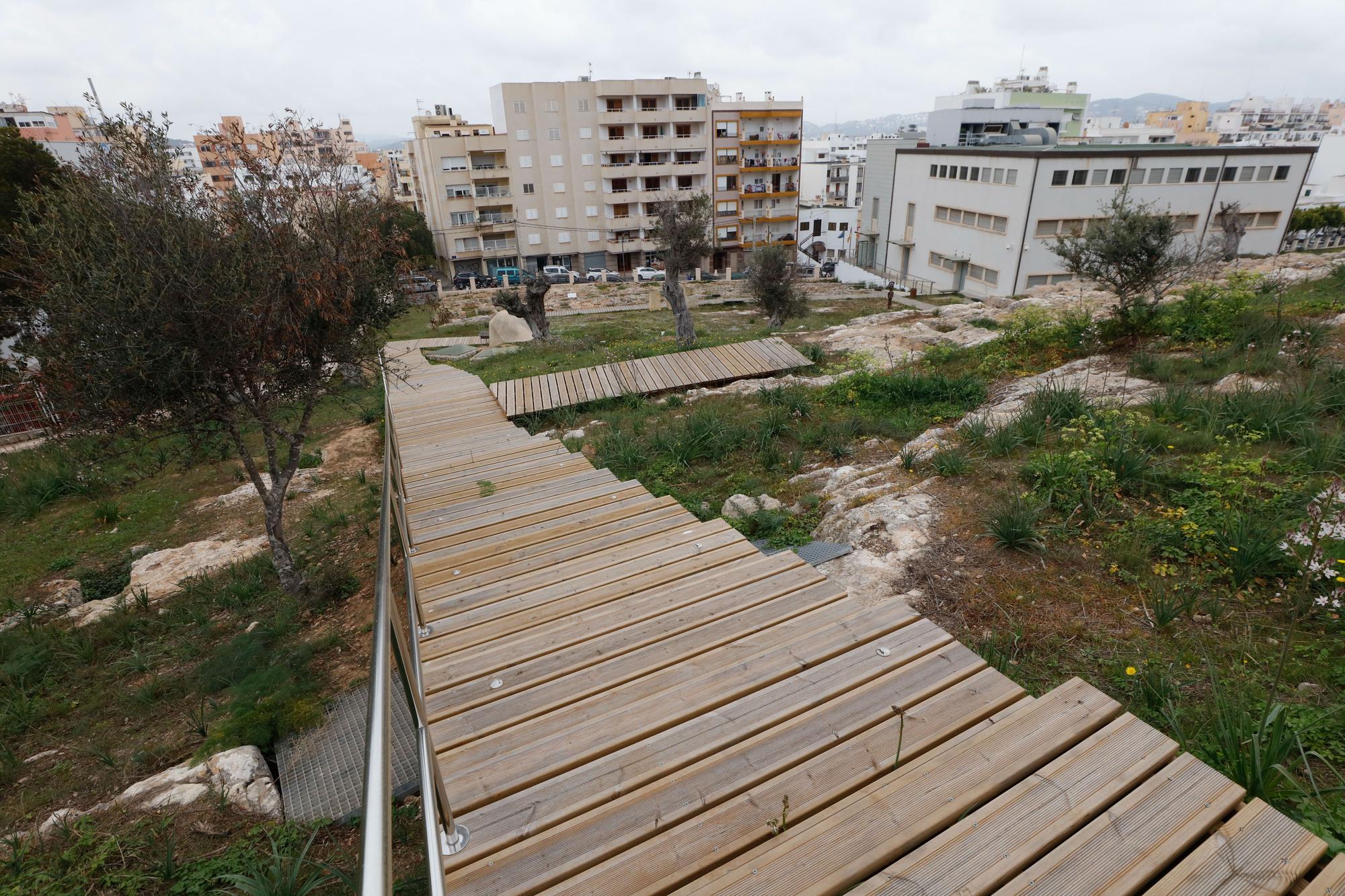 La necrópolis, un oasis dentro de Ibiza