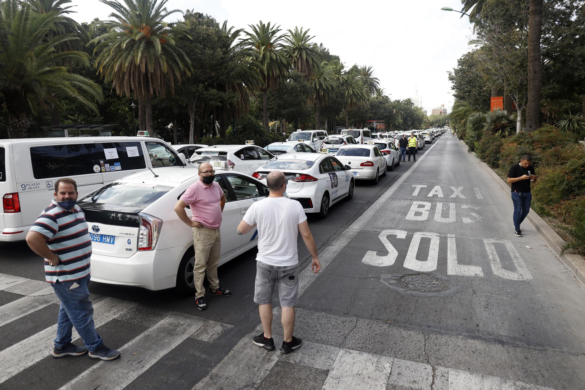 Manifestación del sector del taxi en Málaga contra el intrusismo de las VTC