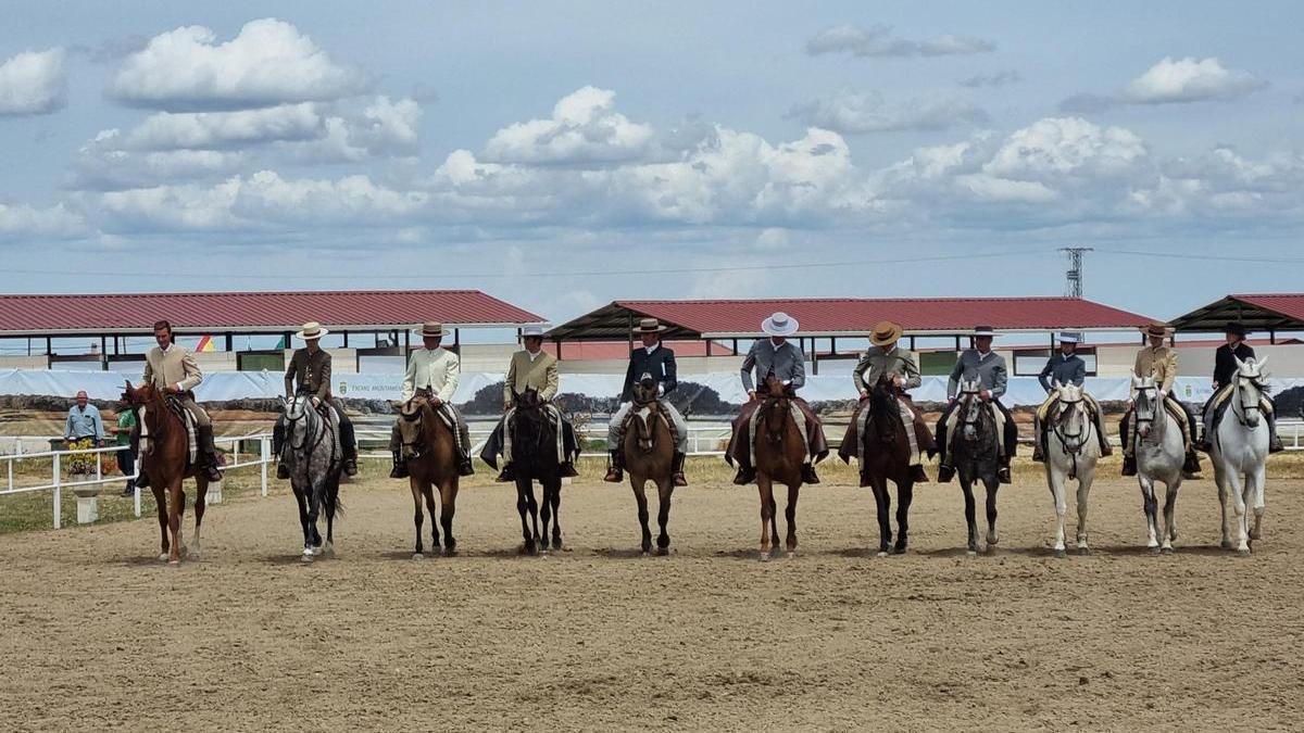 El recinto ferial de Albalá está perfectamente acondicionado para una feria del máximo nivel.