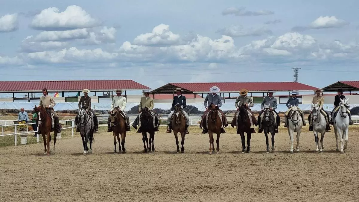 Albalá: el enclave perfecto para los amantes del caballo