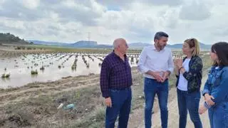 Murcia pide una reunión "urgente" al Ministerio para hacer frente a los daños por las tormentas