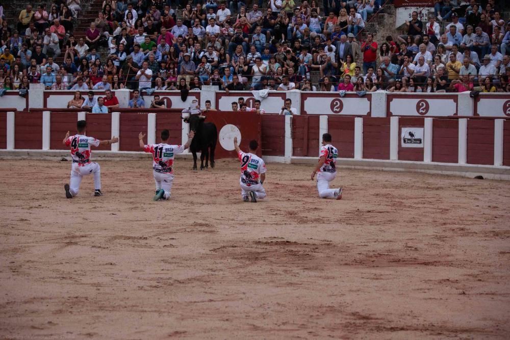 Concurso de cortes San Pedro