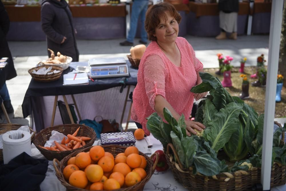 Mercado ecológico en la plaza de España