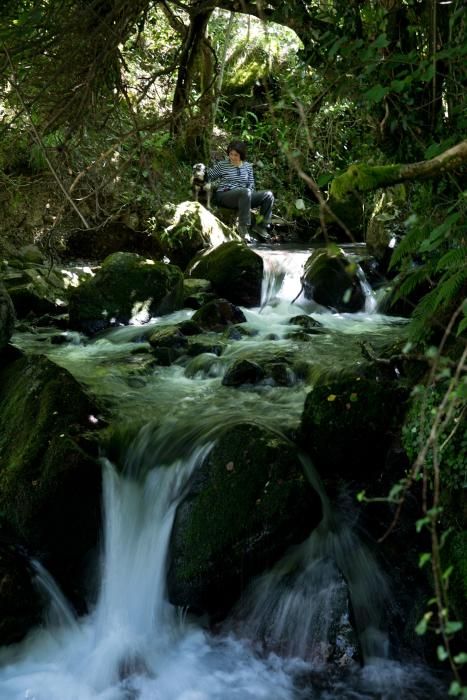 Rutas por Asturias: por las Foces de El Pino