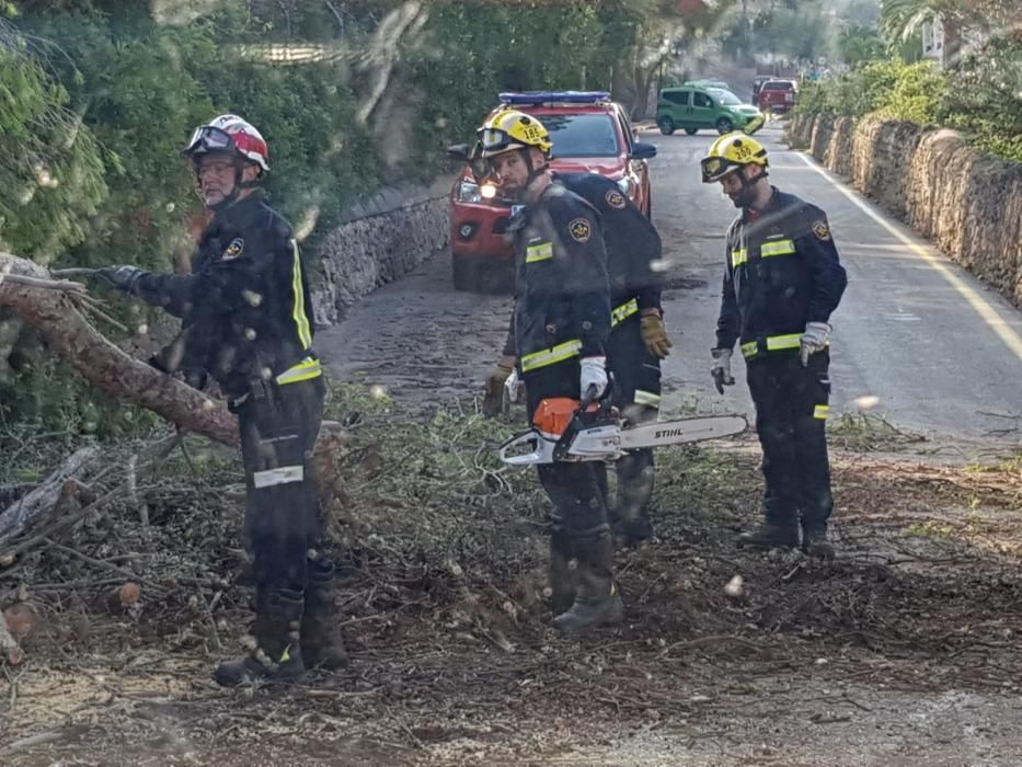 Trabajos en las zonas más afectadas por la tormenta en Baleares