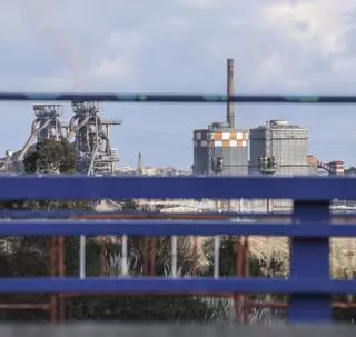 IU pide la estatalización de Arcelor si no cumple sus compromisos de inversión