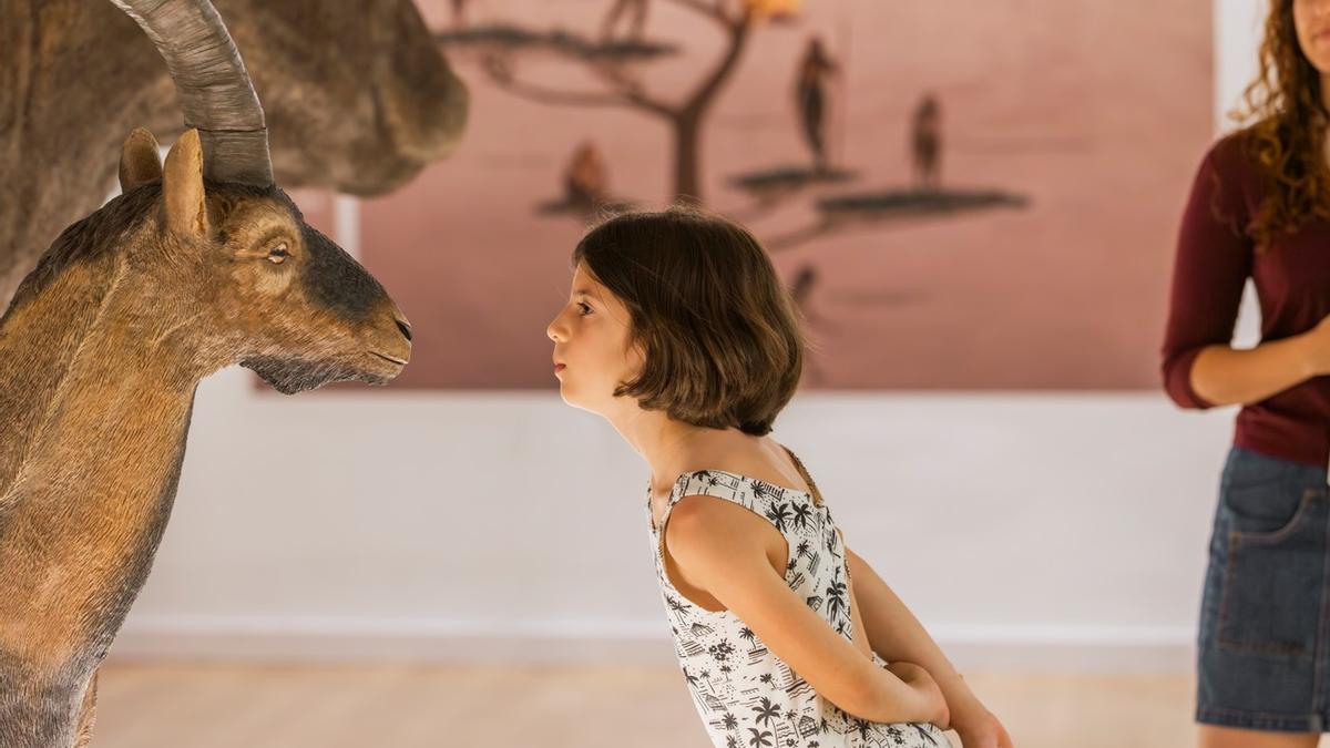Museo Arqueológico de Gandia abre sus puertas por el Día de los Museos.