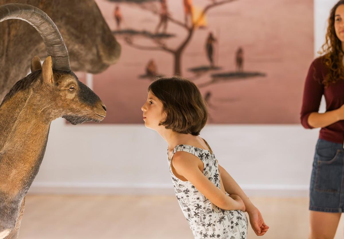Museo Arqueológico de Gandia abre sus puertas por el Día de los Museos.