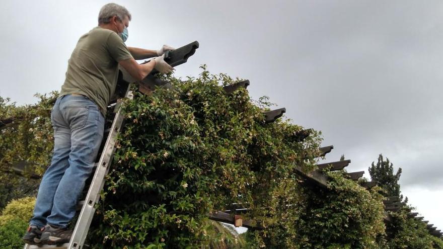 Benicalap se alía con los murciélagos frente a las plagas de insectos