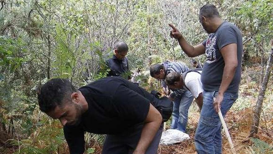 Agentes de la Guardia Civil, ayer, en A Cañiza durante el rastreo. / r. g.