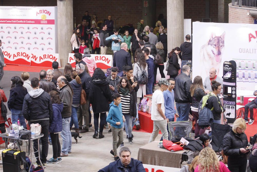 Expocanina 2018