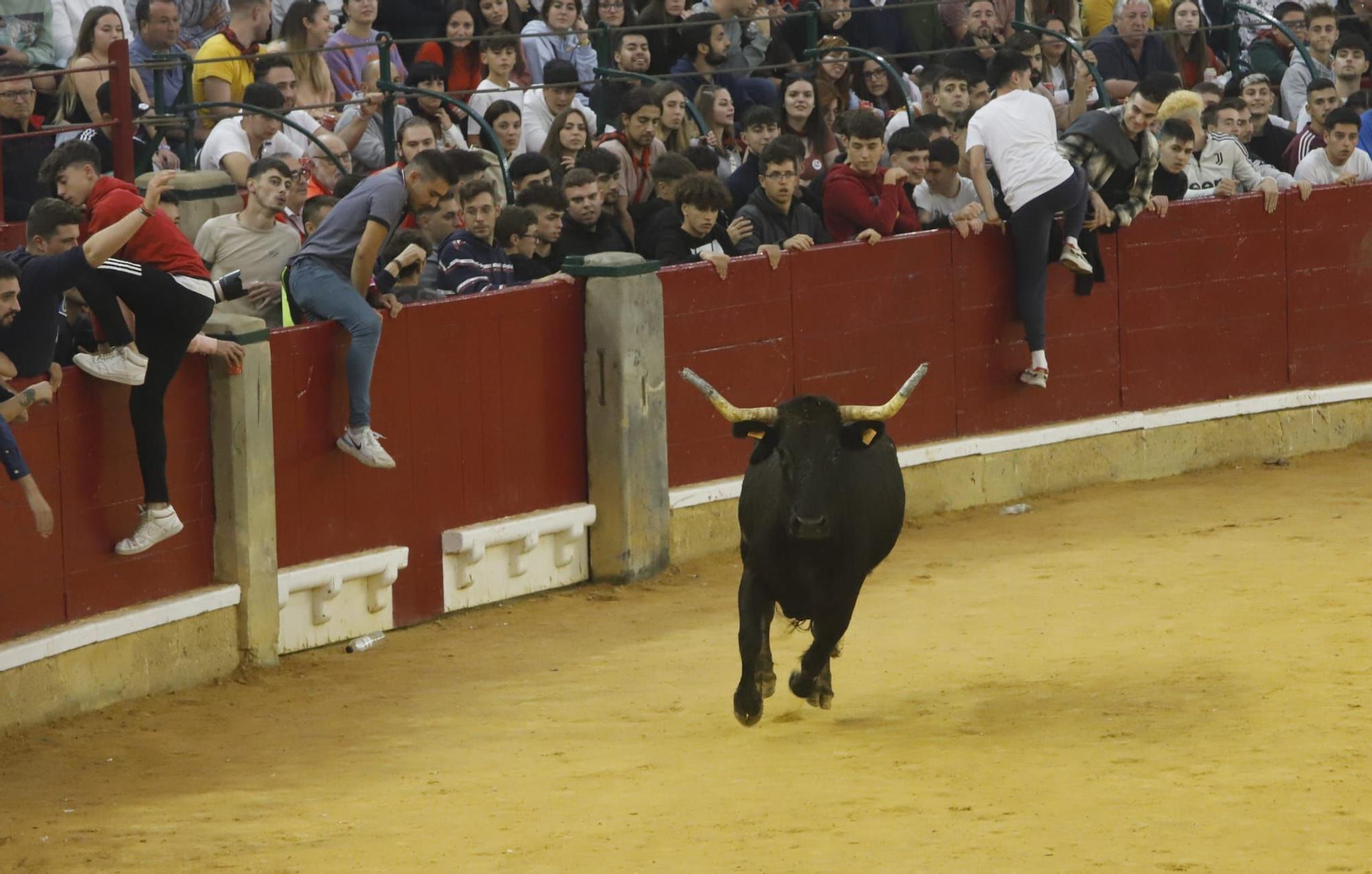 Búscate en la vaquillas del miércoles 12 de octubre