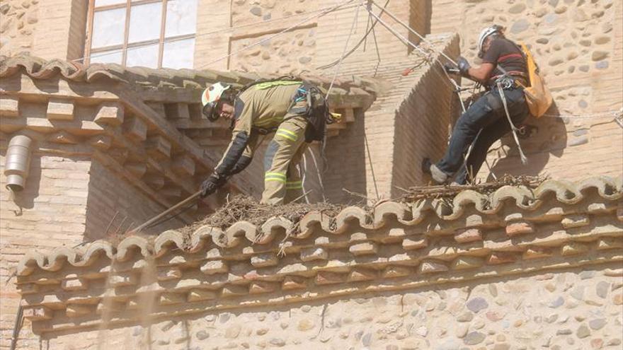 Los bomberos de DPZ eliminan los nidos de cigüeña de las iglesias