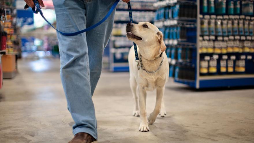 PERROS: Estas son las tiendas más populares donde puedes entrar con tu perro,  o "pet friendly"