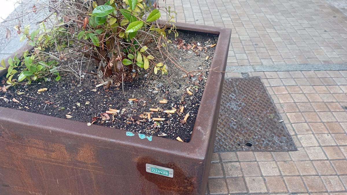 Las plantas de Carretería, ceniceros para los más incívicos.