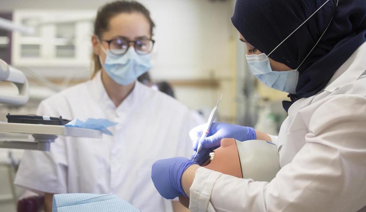 Neix l'Agència Pública de Formació i Qualificació Professionals de Catalunya