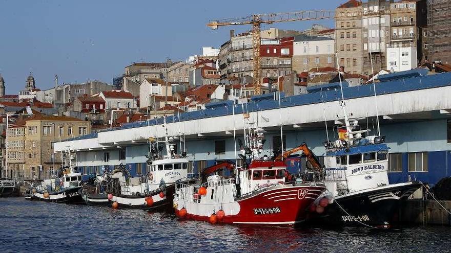 Buques de cerco amarrados en un puerto gallego.