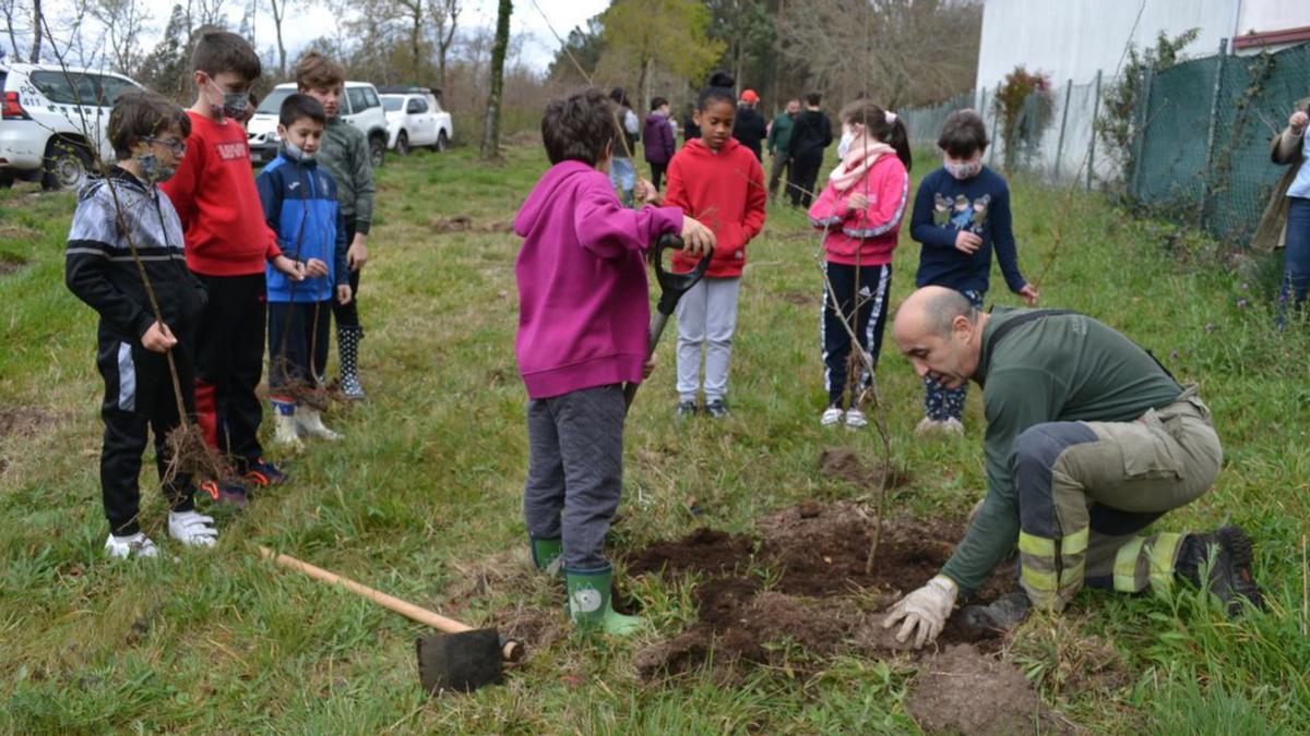 Los alumnos de O Foxo realizan una plantación con la ayuda de forestales