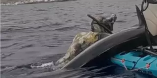 Pesca viral: captura con arpón un peto de 53 kg en Tenerife (y subirlo a su kayak fue la parte difícil)