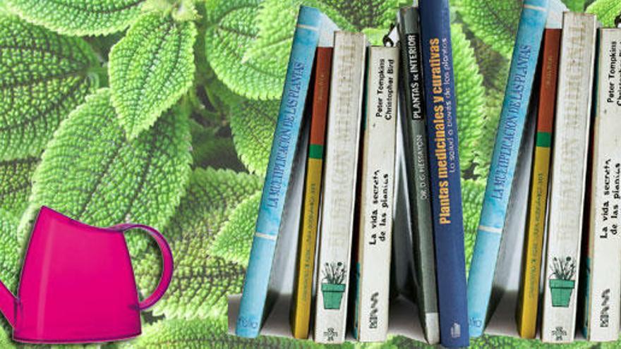 Libros para cuidar de tus plantas.