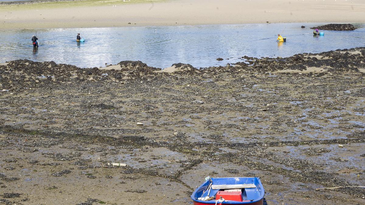 Mariscadores en la ría de O Burgo