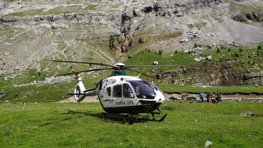 Un senderista sufre el ataque de varias vacas en Ordesa