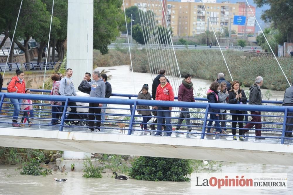 Crecida del Río Segura