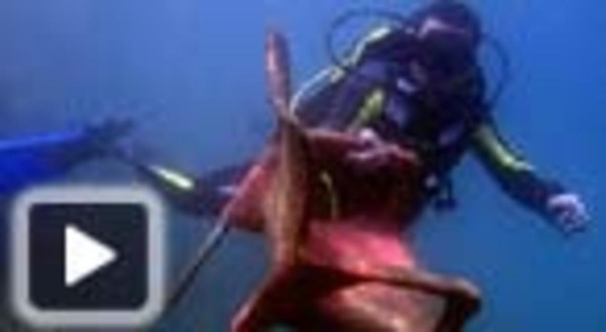 Un submarinista mostra una cadira de plàstic de xiringuito trobada al nou espigó de la Mar Bella, la setmana passada. Un submarinista mostra una cadira de plàstic de xiringuito trobada al nou espigó de la Mar Bella, la setmana passada.