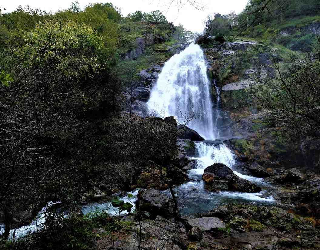 Fervenza de Belelle