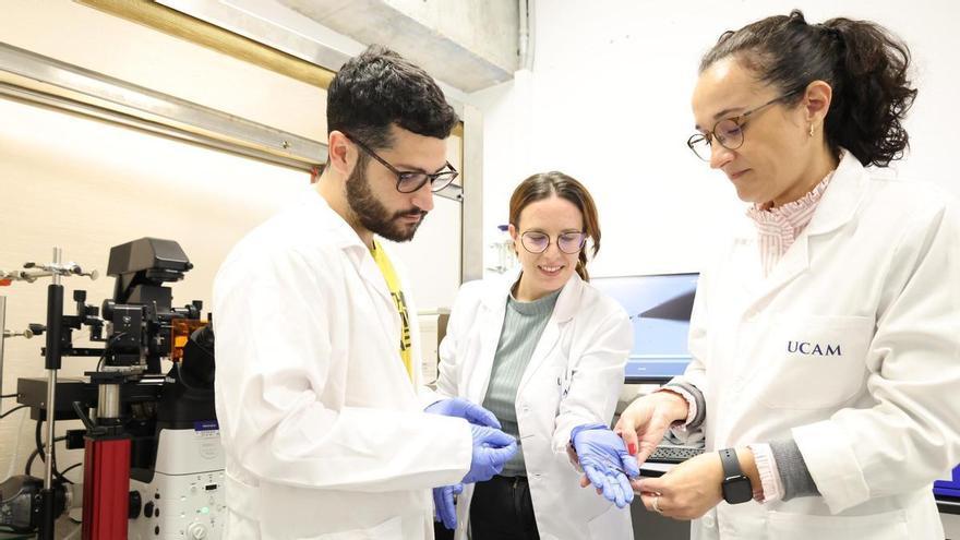 Desarrollarán un nanosensor para monitorización celular en la UCAM